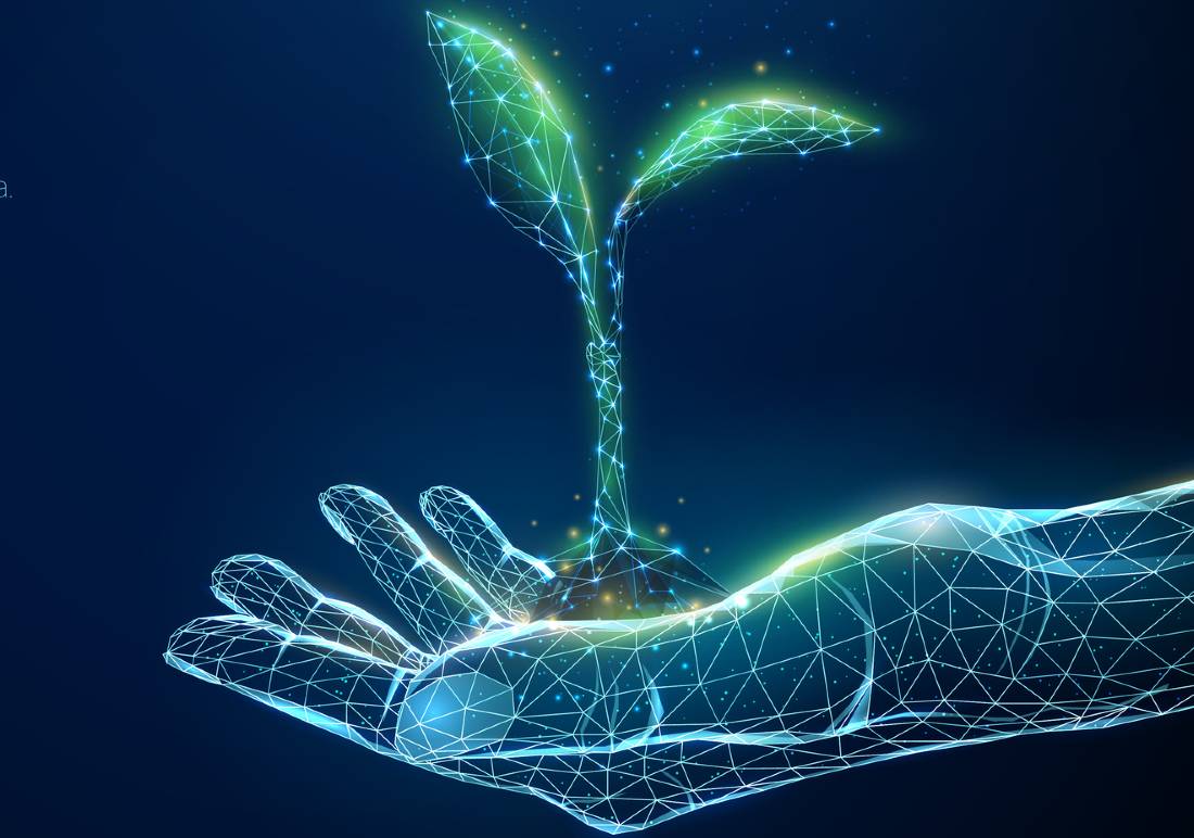 what-is-seed-complaint-management-system what-is-seed-complaint-management-system